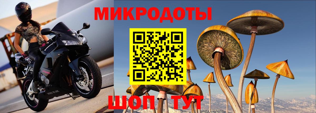 Галлюциногенные грибы прущие грибы  купить   Якутск  Вход с VPN 